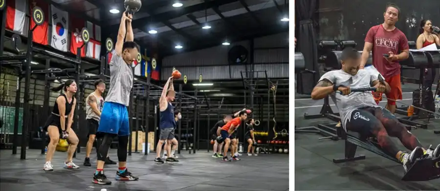 Workout and meal plan examples